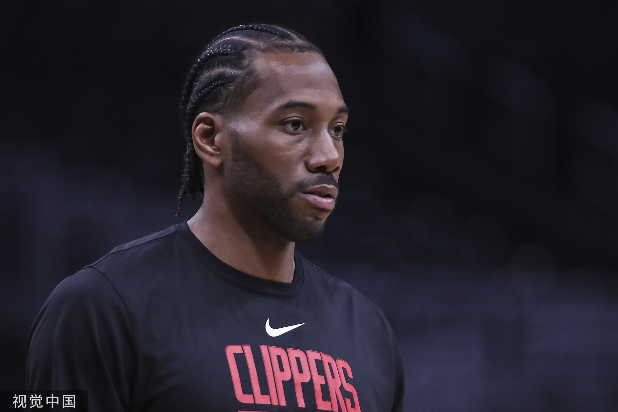 行业已有可 行业已有可